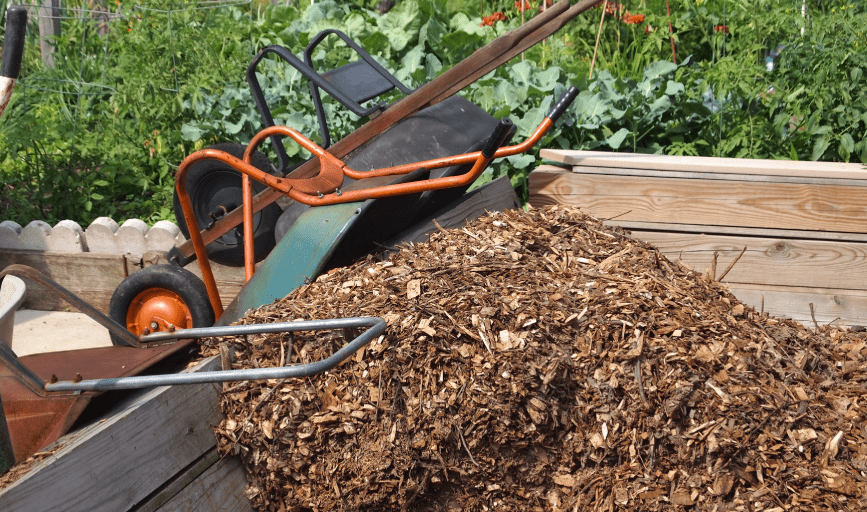 Arbor View Landscape Services